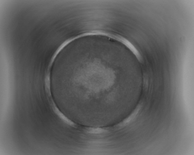 X0000113281100200909280947