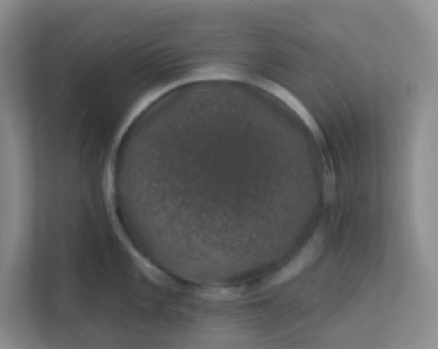 X0000113281101200909280947