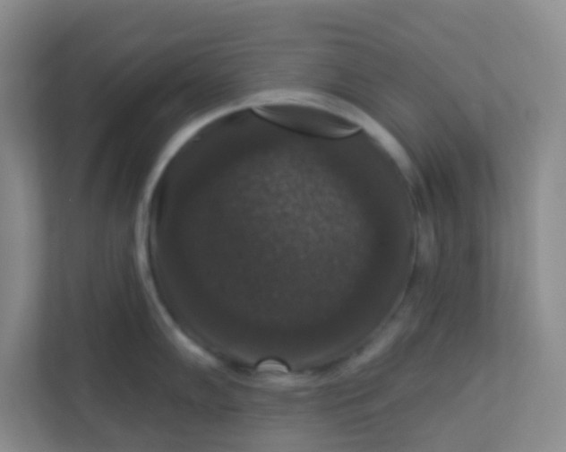 X0000113281102200909280947