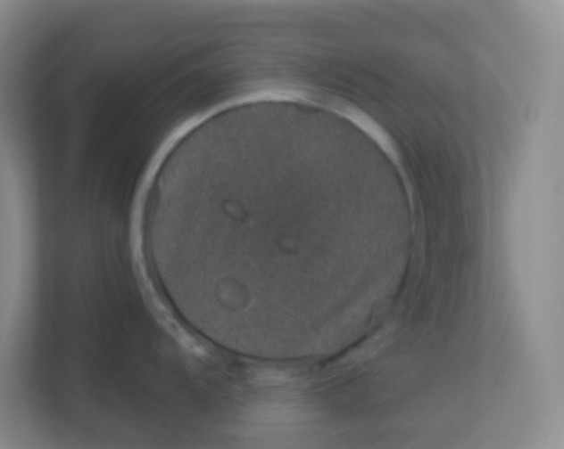 X0000113281104200909280947