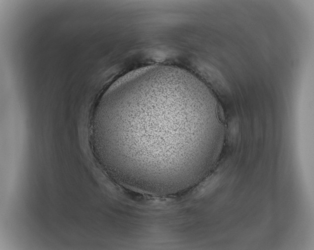 X0000113281105200909280946