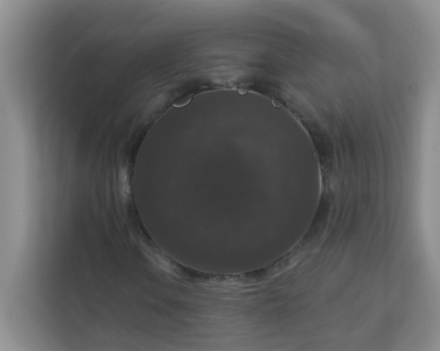 X0000113281106200909280946