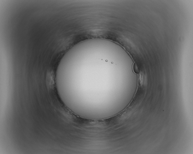 X0000113281107200909280946