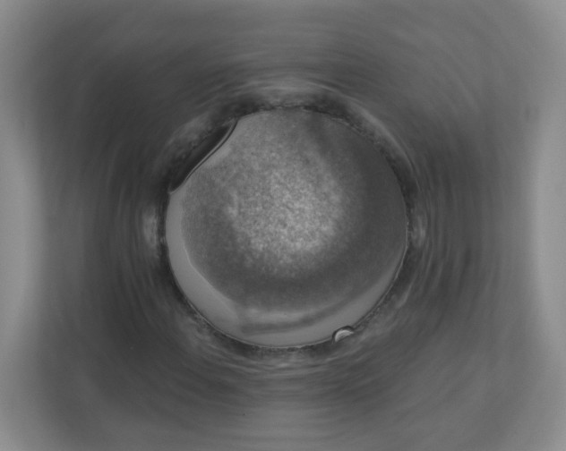 X0000113281108200909280946