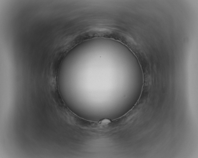 X0000113281109200909280946