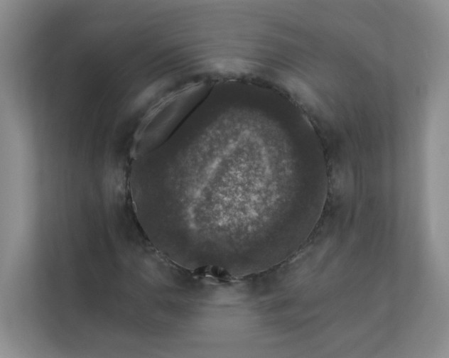 X0000113281110200909280946