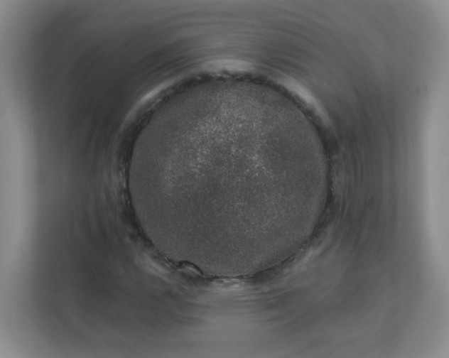 X0000113281112200909280946