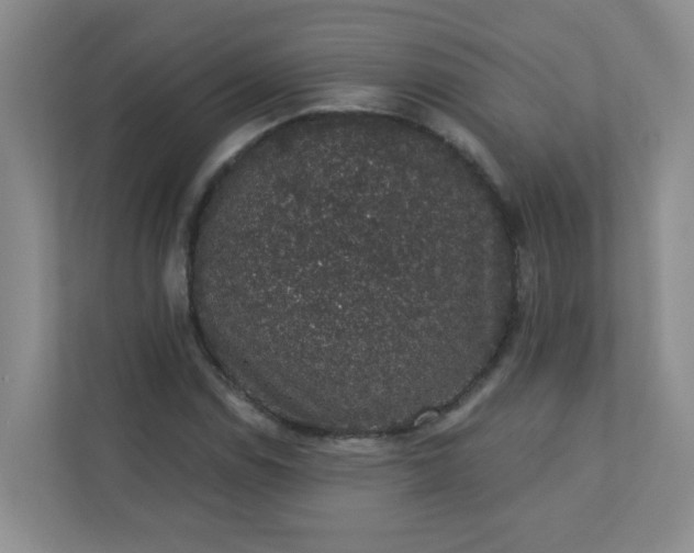 X0000113281114200909280946