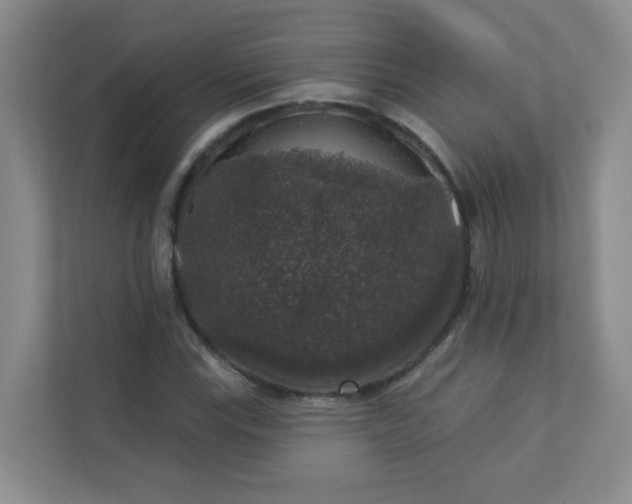 X0000113281115200909280946