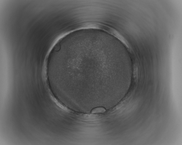 X0000113281116200909280946