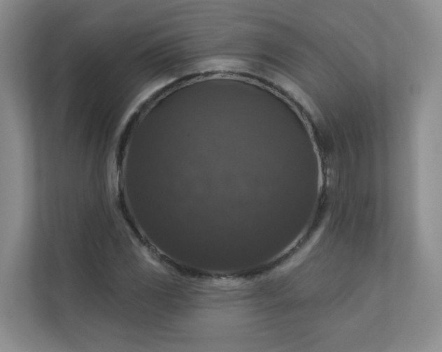 X0000113281117200909280946