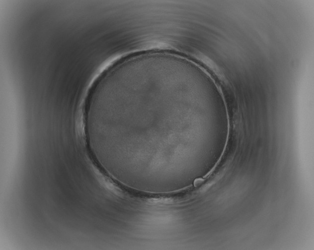 X0000113281118200909280946