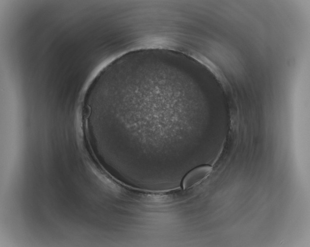 X0000113281120200909280946