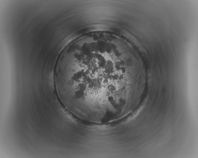 X0000113281121200909280946