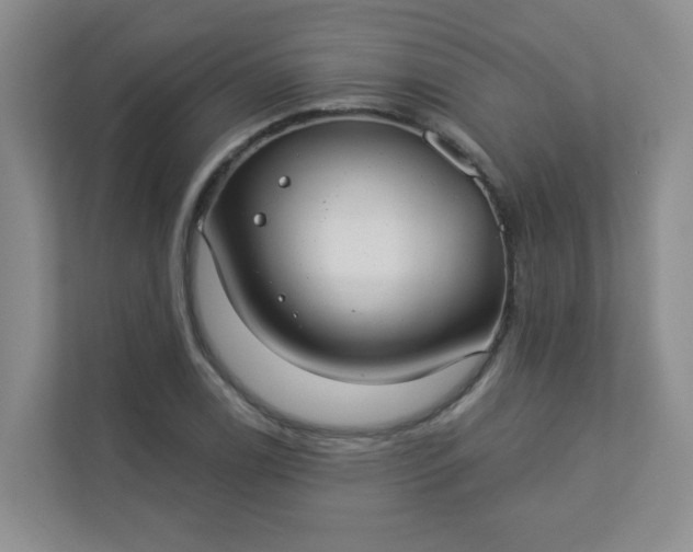 X0000113281122200909280946