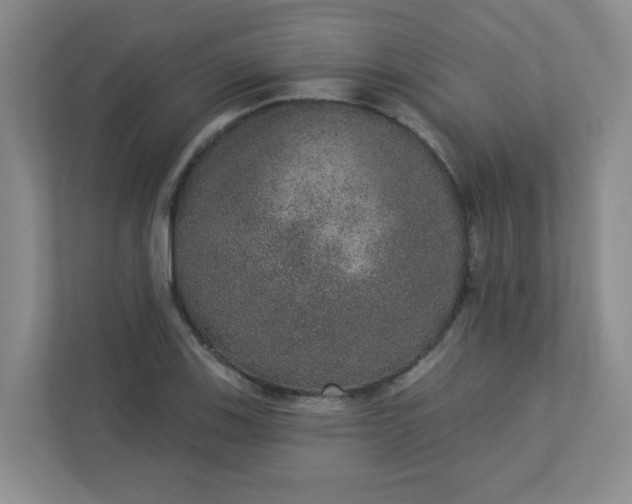 X0000113281123200909280946