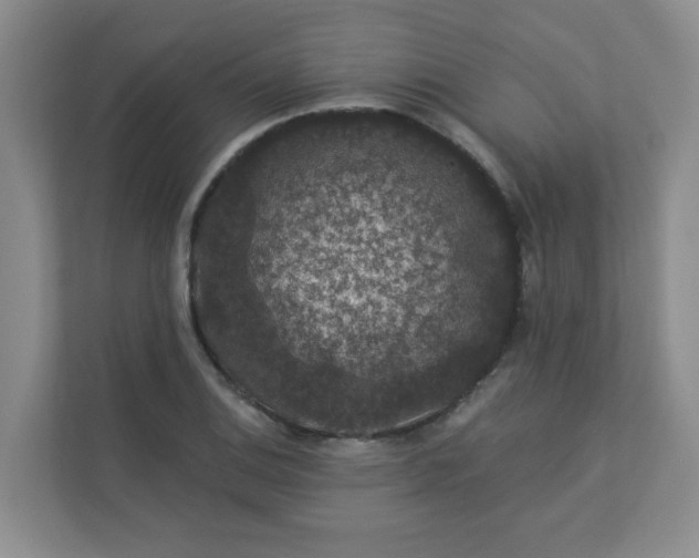 X0000113281124200909280946