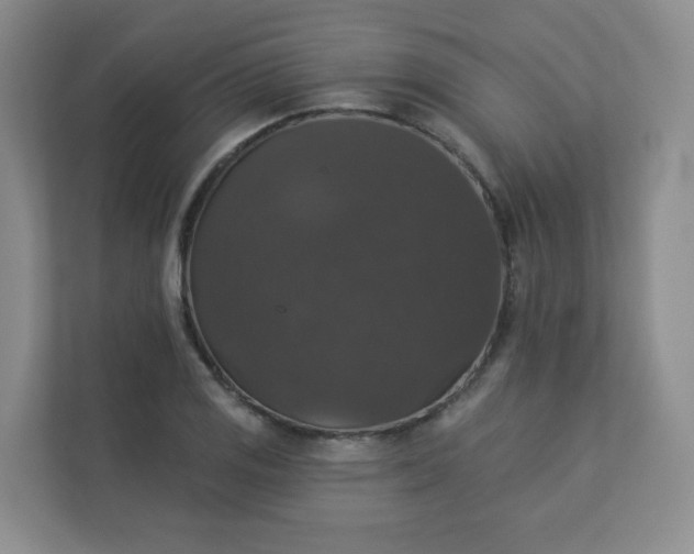 X0000113281125200909280946