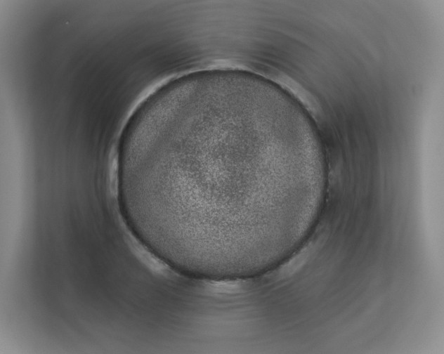 X0000113281126200909280946