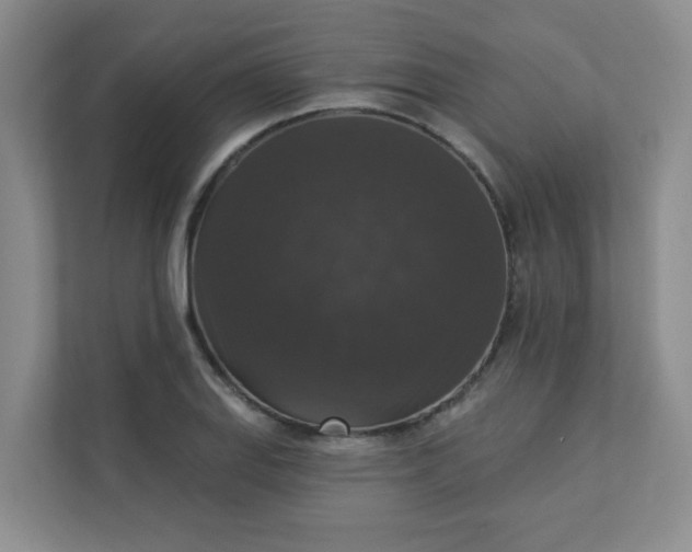 X0000113281127200909280946