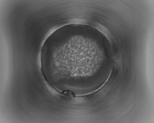 X0000113281128200909280946