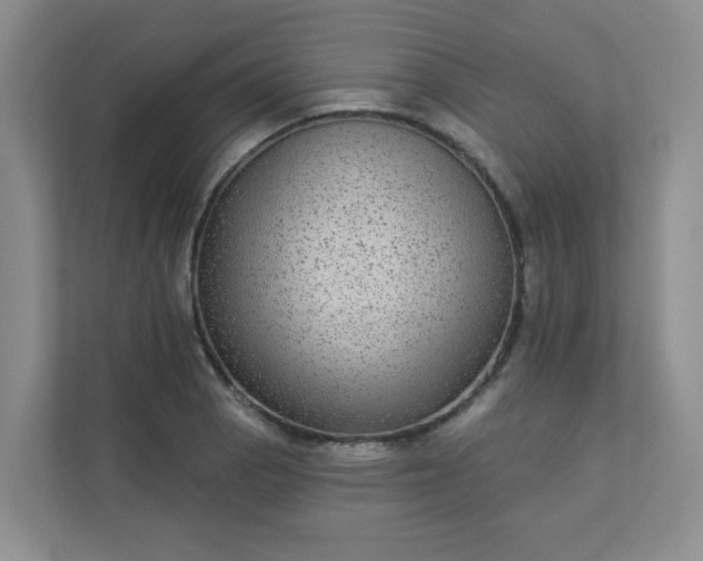 X0000113281129200909280946