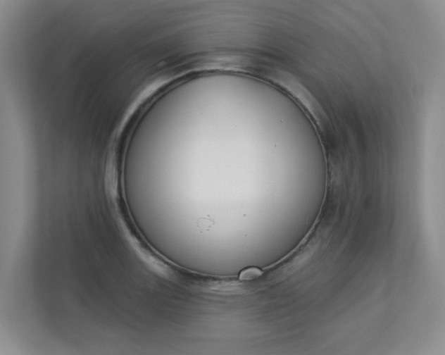 X0000113281131200909280946