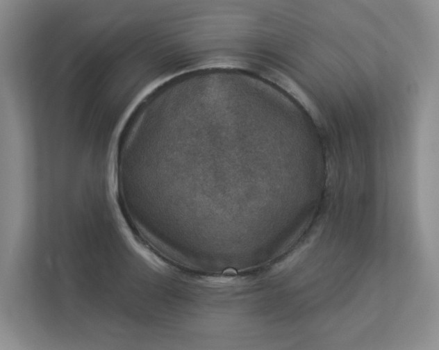 X0000113281132200909280946