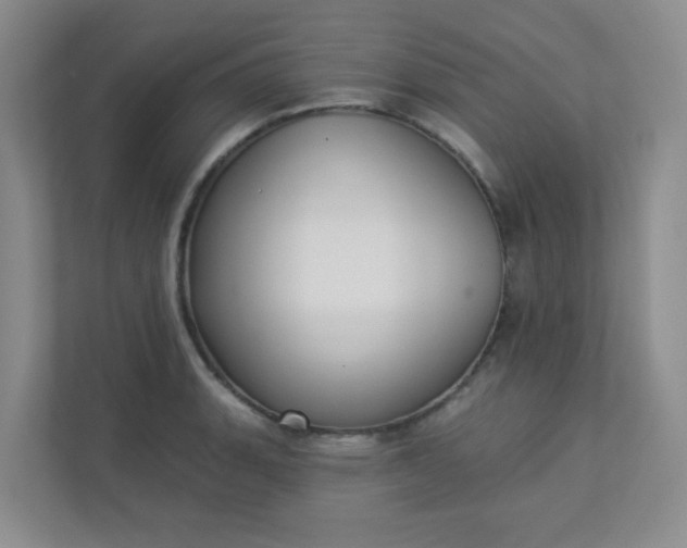 X0000113281135200909280946