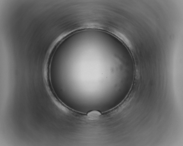 X0000113281136200909280946