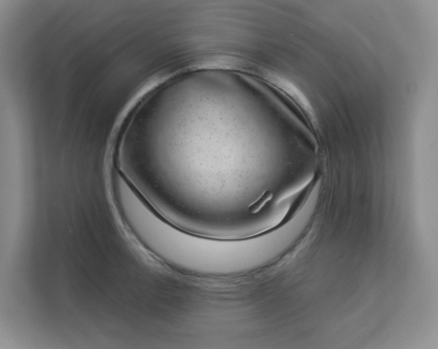 X0000113281138200909280947