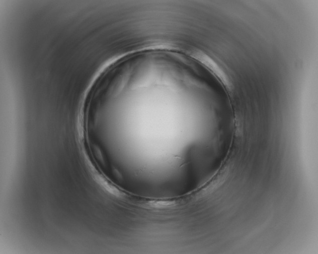 X0000113281140200909280947