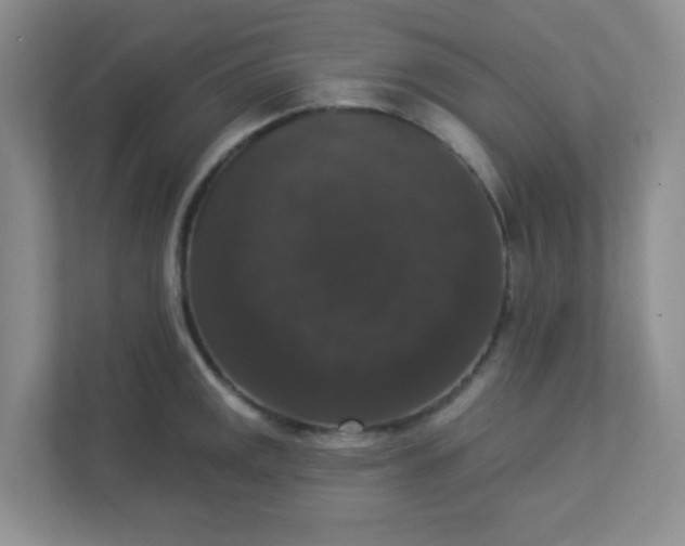 X0000113281141200909280947