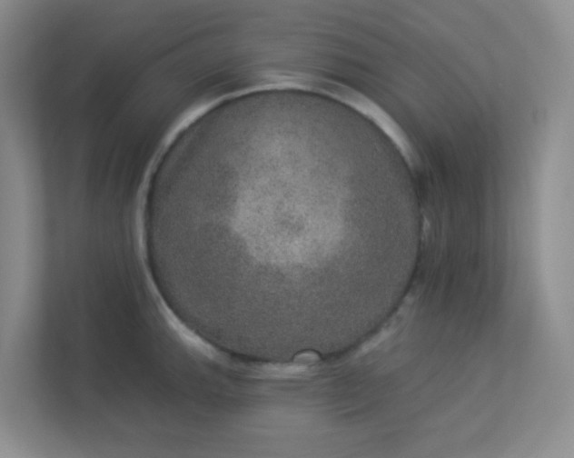 X0000113281143200909280947