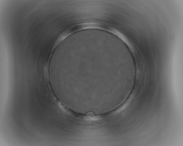 X0000113281145200909280947