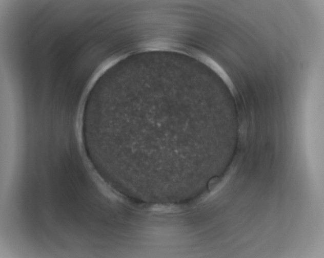 X0000113281146200909280947