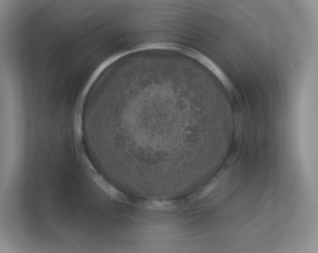 X0000113281148200909280947