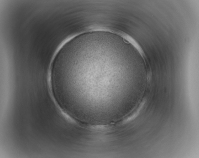 X0000113281149200909280947