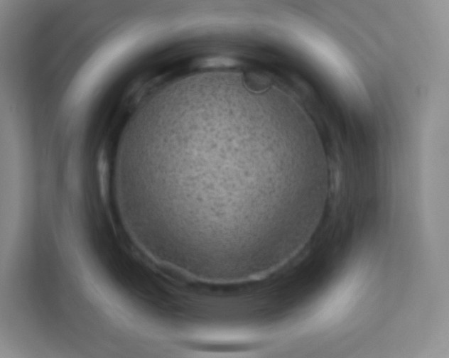 X0000113281151200909280947