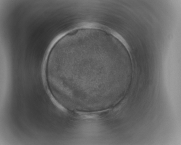 X0000113281152200909280947