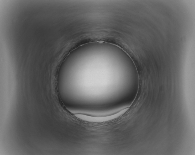 X0000113281153200909280946