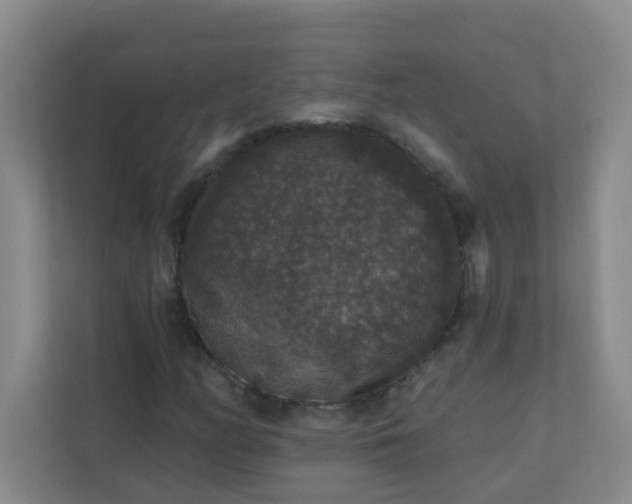 X0000113281158200909280946