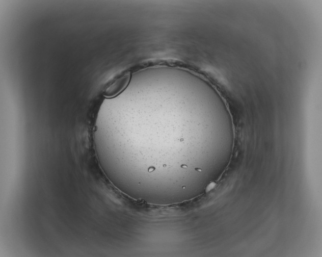 X0000113281159200909280946