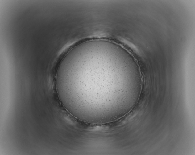 X0000113281160200909280946