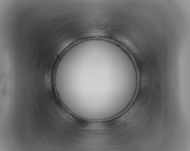 X0000113281162200909280946