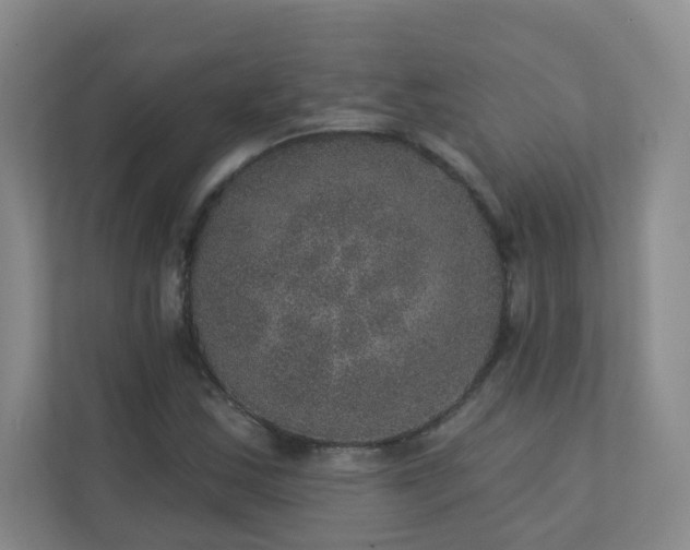 X0000113281163200909280946