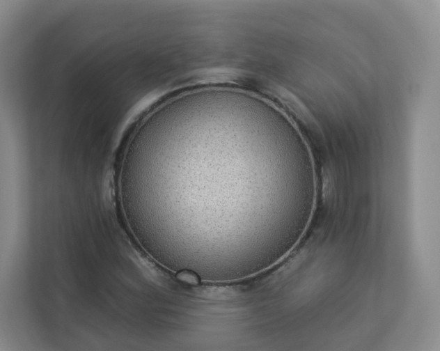 X0000113281164200909280946