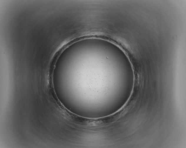 X0000113281165200909280946