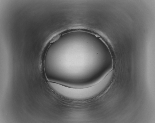 X0000113281167200909280946