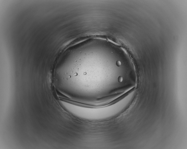 X0000113281169200909280946